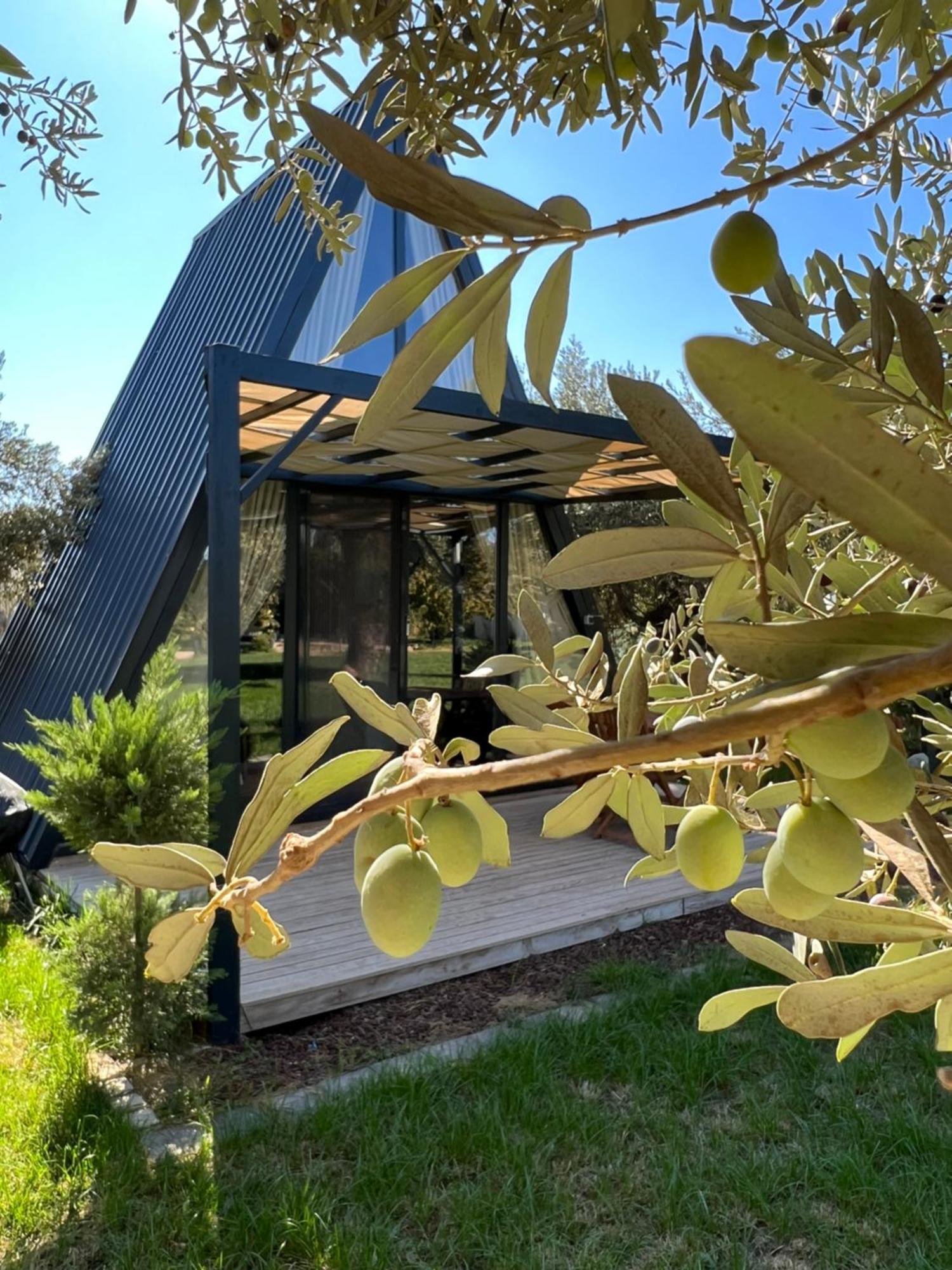 Byelka Bungalov Ayvalı Exterior foto