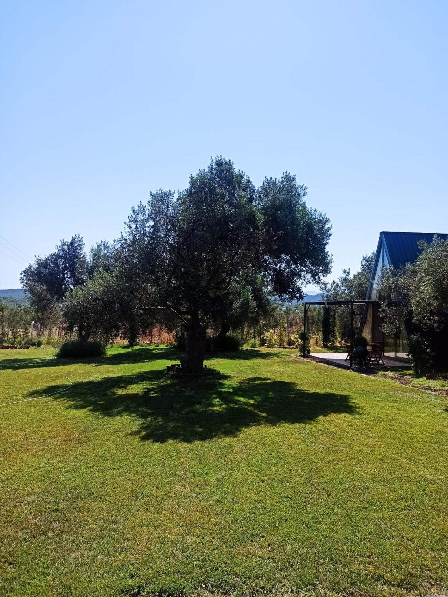 Byelka Bungalov Ayvalı Exterior foto